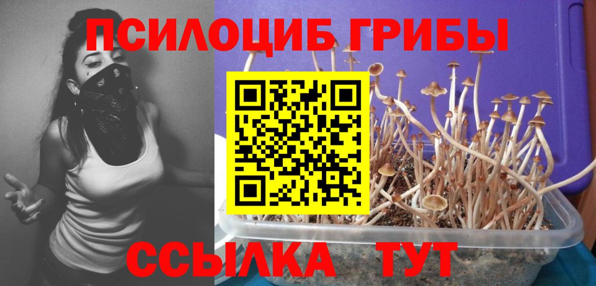 Псилоцибиновые грибы Magic Shrooms  Псилоцибиновые грибы мухоморы  Ртищево  Вход с VPN 